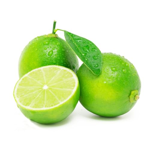 120 pcs zitronenbaum pflanze samen geschenke für ältere menschen lemon tree - zitrone Citrus limon - Seltene Pflanzen serie säulenobst deko bohnenkraut pflanze obstbäume kaufen bonsai von WJKWY-Q