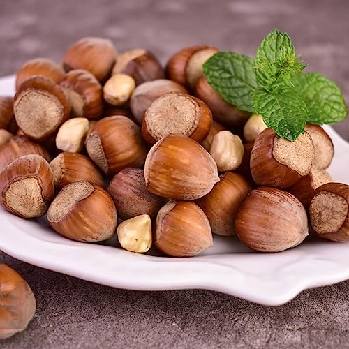 80 pcs haselnüsse bio samen - nachhaltige produkte fensterbank deko innen haselnussstrauch haselnuss haselnussbaum Hazelnut, baumsamen kräutergarten geschenk dekoration wohnzimmer von WJKWY-Q