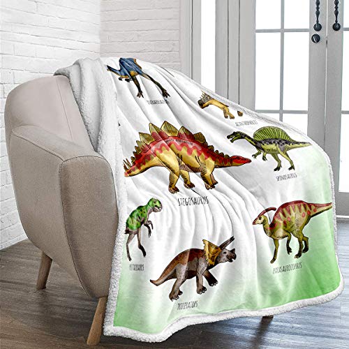 WONGS BEDDING Dinosaurier Kuscheldecke 150x200 Kinder Jungen Sherpa Decke Warm Wohndecke weiche & Flauschige Fleecedecke als Sofaüberwurf Sofadecke Couchdecke Doppelseitig Tagesdecke für Bett&Sofa von WONGS BEDDING