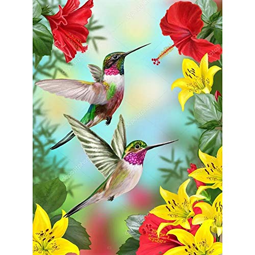 5D Diamond Painting Diamant Malerei Painting Bilder, Wowdecor Kolibris Vögel Tiere Blumen Full Set Groß DIY Diamant Gemälde Malen Nach Zahlen von WOWDECOR