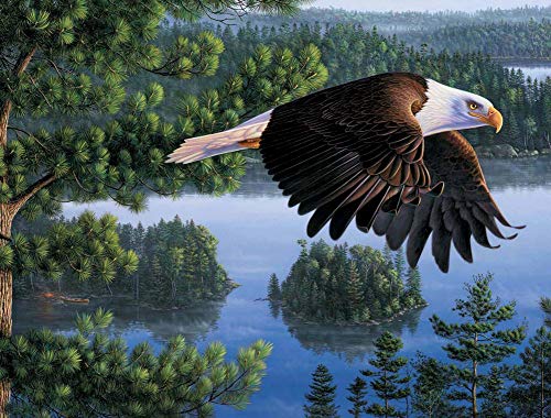 WOWDECOR DIY Malen nach Zahlen für Erwachsene Kinder Mädchen, Weißer Kopf Adler Fliege Grüner Baum See Tiere 40x50cm Vorgedruckt Leinwand-Ölgemälde (mit Rahmen) von WOWDECOR