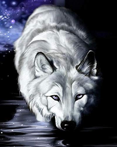 WOWDECOR DIY Malen nach Zahlen für Erwachsene Kinder Mädchen, Weißer Wolf Nachthimmel Geheimnisvoll Tier 40x50cm Vorgedruckt Leinwand-Ölgemälde (ohne Rahmen) von WOWDECOR