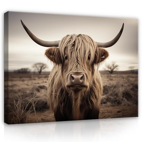 Bilder Highland Cow Schottisches Hochlandrind Natur 120x80 cm - Modern Leinwandbild Groß XXL Schlafzimmer Wohnzimmer Wandbild Kunstdruck Wandbilder Canvas Desing Wand Bild auf Leinwand Aufhängefertig von WallArena