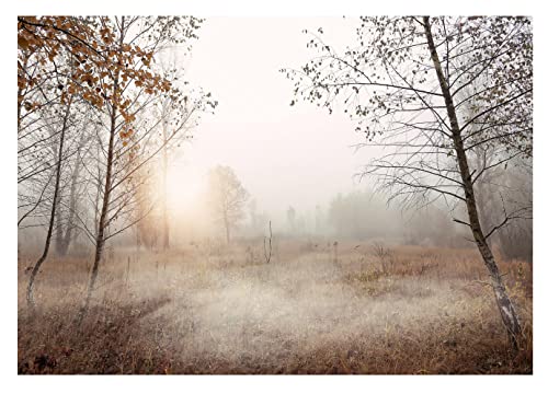 Fototapete Bäume 3D Effekt Nebel Wald Landschaft Natur Wiese Gras - inkl. Kleister - für Wohnzimmer Schlafzimmer Flur Vlies Tapete Vliestapete Wandtapete Motivtapeten Montagefertig (368x254 cm) von WallArena