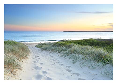 Fototapete Strand Meer 3D Effekt Dünen Nordsee Natur - inkl. Kleister - für Wohnzimmer Schlafzimmer Flur Vlies Tapete Vliestapete Wandtapete Motivtapeten Montagefertig (368x254 cm) von WallArena