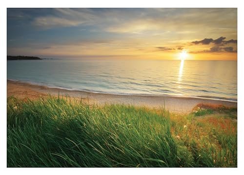 Fototapete Strand Meer Ostsee Natur Landschaft 368x254 cm - inkl. Kleister - für Wohnzimmer Schlafzimmer Flur Vlies Tapete Wandtapete Vliestapete Motivtapeten Montagefertig von WallArena