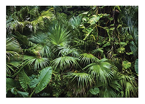 Fototapete Wald 3D Effekt Tropical Dschungel Grün Natur Pflanzen Tropische Blätter Wohnzimmer Schlafzimmer Wandtapete Vlies Tapete UV-Beständig Montagefertig (14082, VEXXXL (416x254 cm) 4 Bahnen) von WallArena