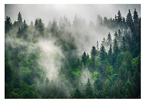 Fototapete Wald im Nebel Landschaft Panorama Bäume Natur - inkl. Kleister - für Wohnzimmer Schlafzimmer Flur Vlies Tapete Vliestapete Wandtapete Motivtapeten Montagefertig (416x254 cm) von WallArena