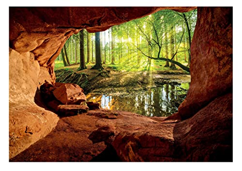 Vlies Fototapete 3D Effekt Wald Bach Sonne Höhle Natur inkl. Kleister Wohnzimmer Schlafzimmer Modern Motivtapeten Wandtapete Tapete Vliestapete UV-Beständig Montagefertig (416x254 cm - 4 Bahnen) von WallArena