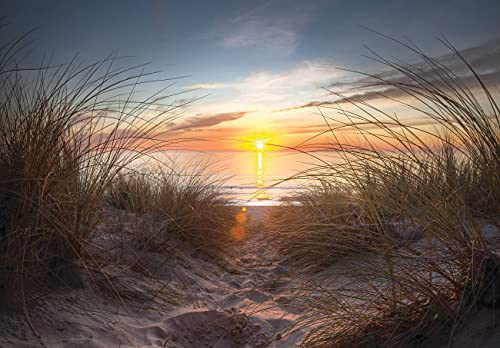 WallArena Fototapete Strand 3D Meer Ostsee Natur Sonnenuntergang Gras Modern Wohnzimmer Schlafzimmer Wandtapete Vlies Tapete UV-Beständig Montagefertig (14022, VEXXXXL (416x290 cm) 4 Bahnen) von WallArena