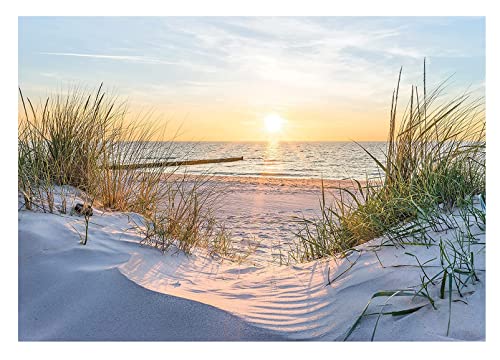 WallArena Fototapete Strand Meer Nordsee Dünen Sonne Panorama Natur Modern Wohnzimmer Schlafzimmer Wandtapete Vlies Tapete UV-Beständig Geruchsfrei Montagefertig (14020, VEXXXL (416x254 cm) 4 Bahnen) von WallArena