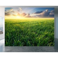 Grass Feld Landschaft - Selbstklebende Tapete, Wohnzimmer Wanddekor, Landschaftstapete, Entfernbares Vinyl, Einfach Anzubringen Und Wasserdicht von WallArtsOnline