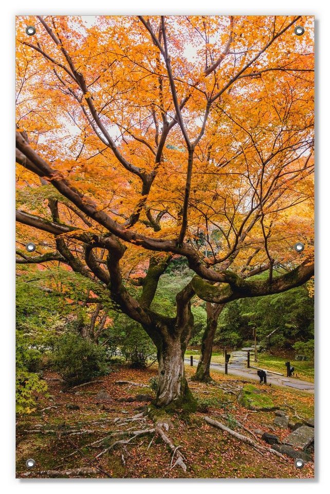 Sonnenschutz Gelber Ahornbaum im Herbst in Japan, Wallario, blickdicht, mit Saugnäpfen, wiederablösbar und wiederverwendbar von Wallario