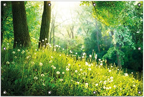 Wallario Outdoor-Poster für Garten oder Balkon Pusteblumen im Wald mit einfallenden Sonnenstrahlen, Motivbanner Größe: ca. 80 x 120 cm, Outdoor-Bild von Wallario