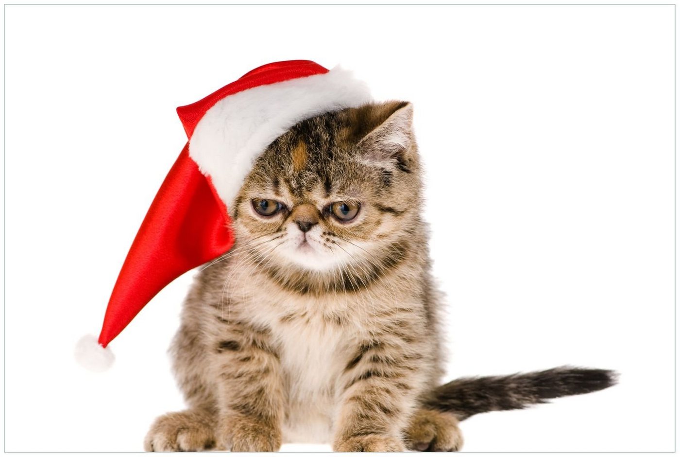 Wallario Poster, Ich hasse Weihnachten - mürrische Katze mit Weihnachtsmütze, in verschiedenen Ausführungen von Wallario