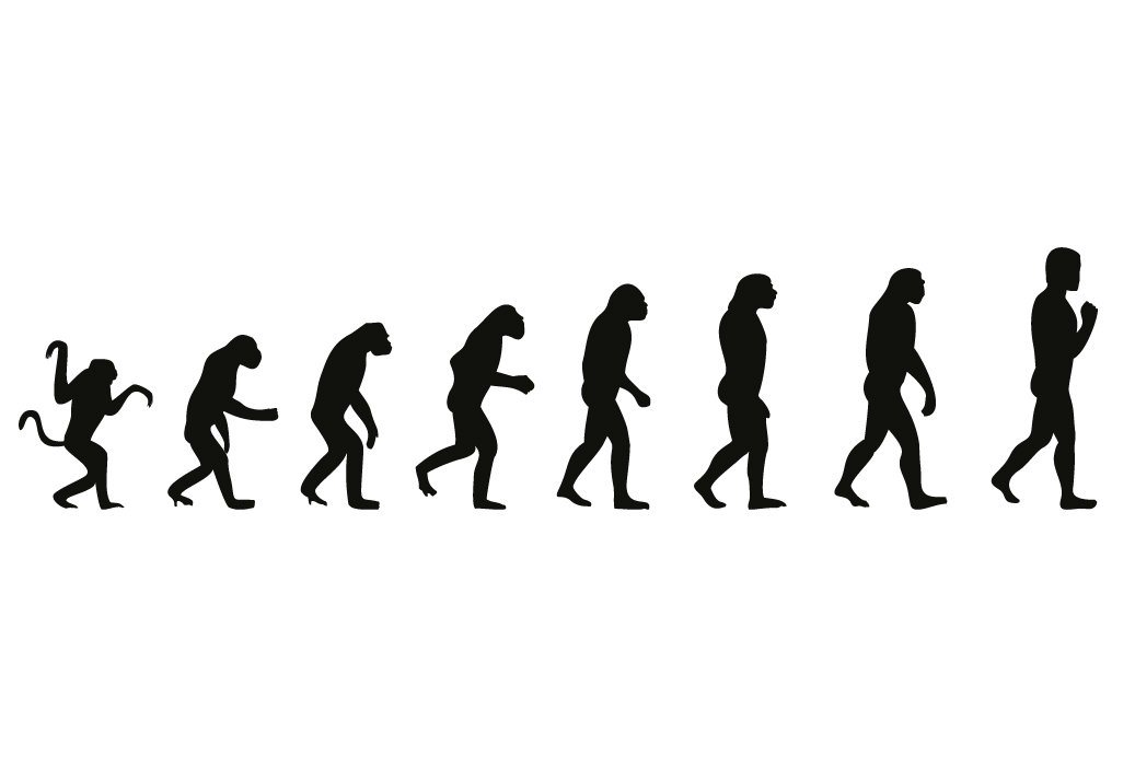 Wallario Vliestapete Evolution - Die Entwicklung des Menschen, seidenmatte Oberfläche von Wallario