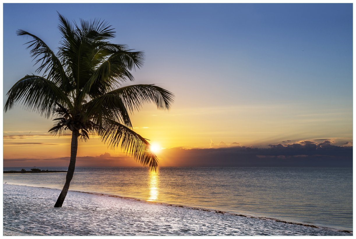 Wallario Vliestapete Palme am Strand - Sonnenuntergang über dem Meer, seidenmatte Oberfläche von Wallario