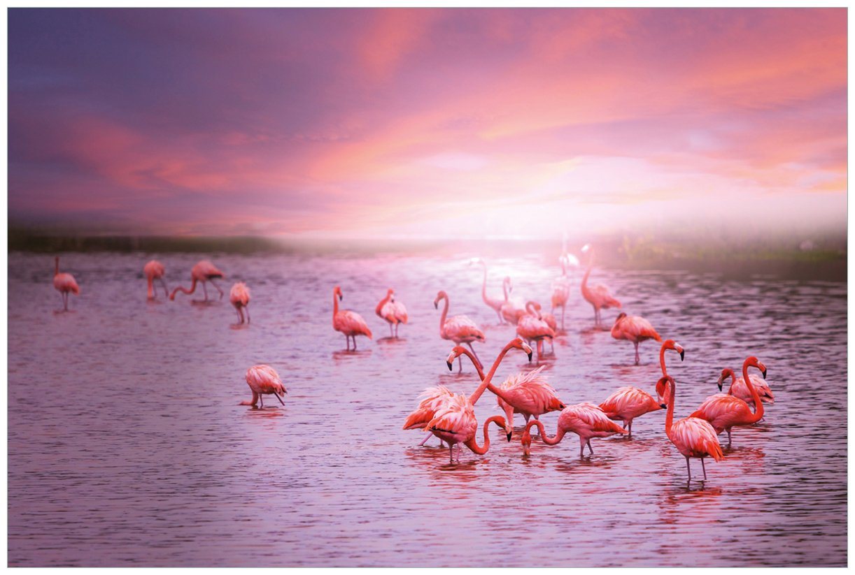 Wallario Vliestapete Rosa Flamingos bei Sonnenuntergang, seidenmatte Oberfläche von Wallario