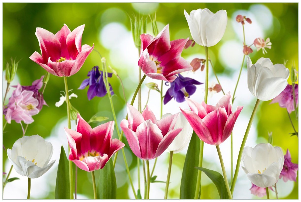 Wallario Wandfolie, Blühende Blumen im Frühling in pink und weiß, in verschiedenen Ausführungen von Wallario