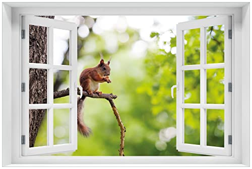 Wallario selbstklebendes Poster - Eichhörnchen auf einem AST, Aufkleber in Premiumqualität, Klebefolie Größe: 61 x 91,5 cm mit Fenster-Illusion (Maxiposter) von Wallario