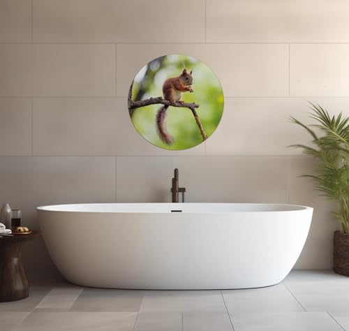 Wallario wasserfestes Poster selbstklebend Rund, 60 cm Durchmesser, Eichhörnchen auf einem AST, Badezimmerposter Spritzschutz mit Hochglanzoberfläche in Glasoptik von Wallario