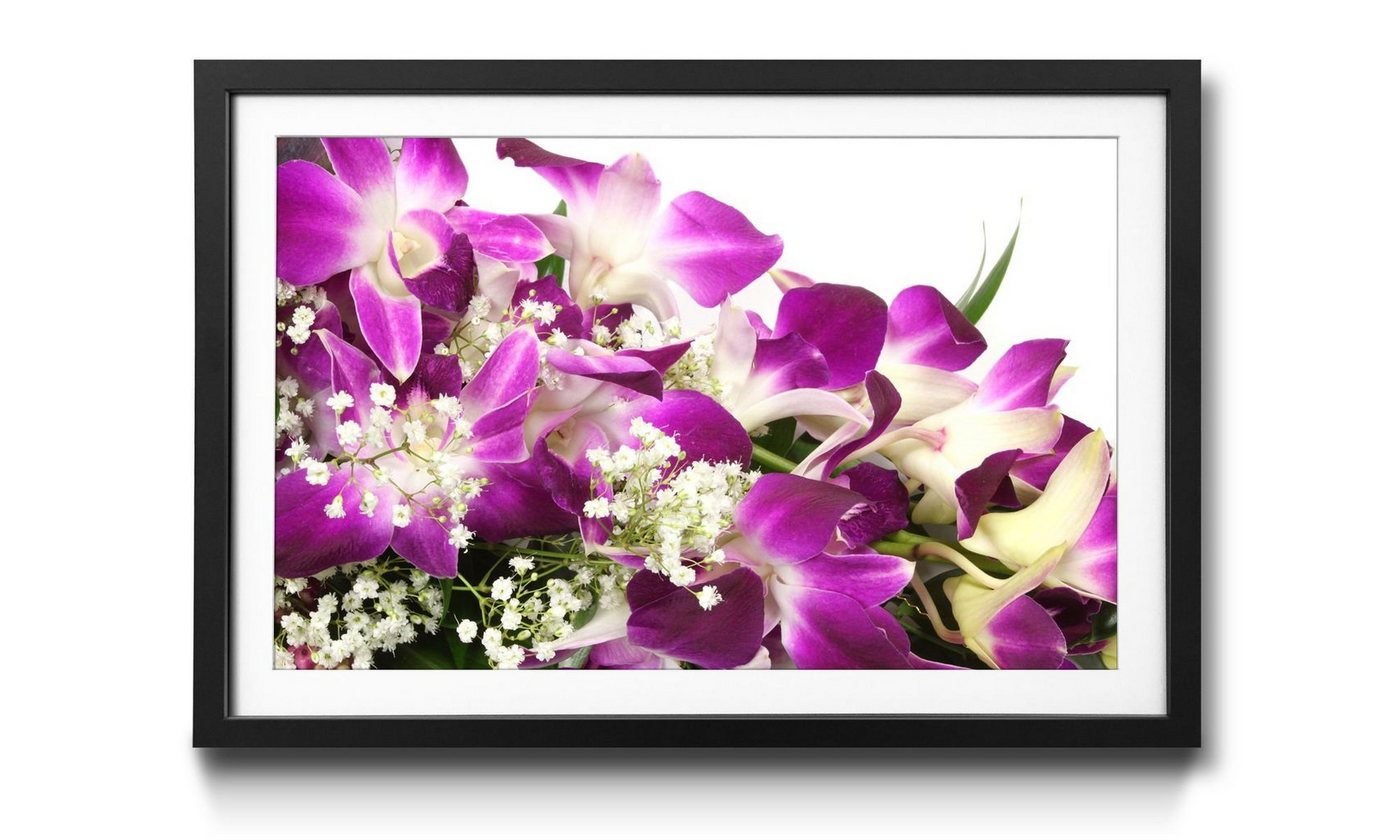 WandbilderXXL Bild mit Rahmen Orchid Blossom, Blumen, Wandbild, in 4 Größen erhältlich von WandbilderXXL