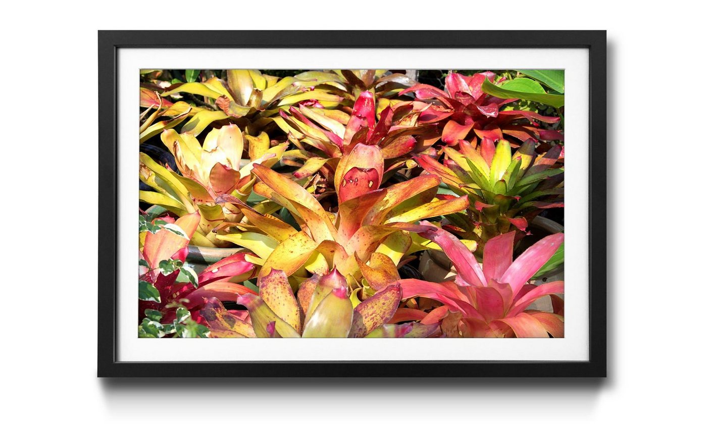 WandbilderXXL Bild mit Rahmen Powerful Plants, Blumen, Wandbild, in 4 Größen erhältlich von WandbilderXXL