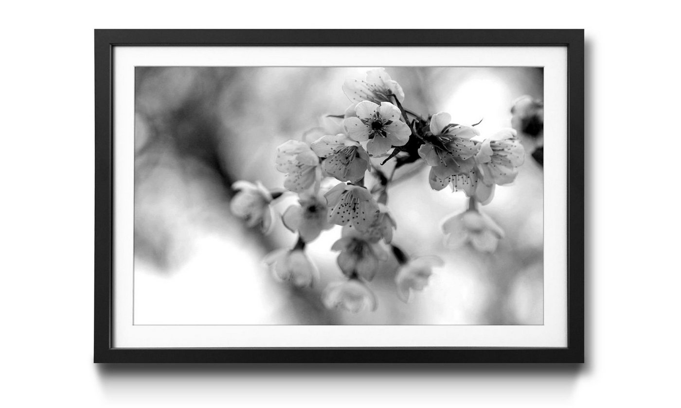 WandbilderXXL Kunstdruck Cherry Blossoms, Blumen, Wandbild, in 4 Größen erhältlich von WandbilderXXL