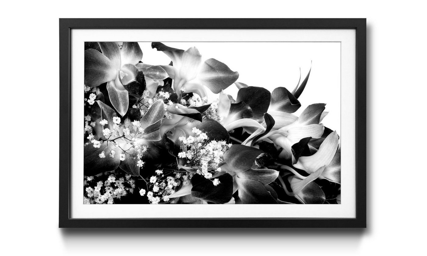 WandbilderXXL Kunstdruck Orchid Blossoms, Blumen, Wandbild, in 4 Größen erhältlich von WandbilderXXL