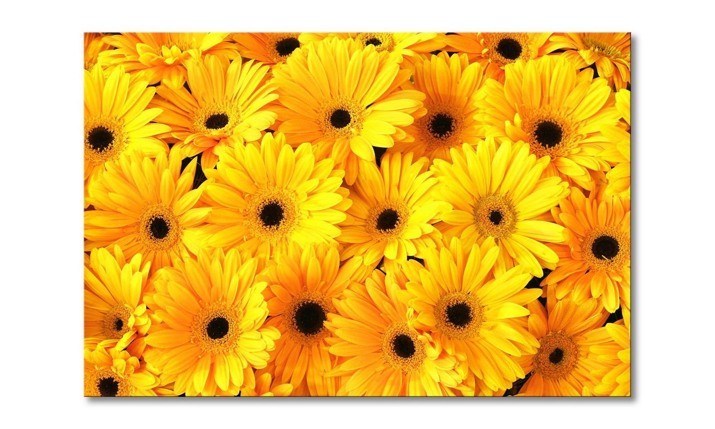 WandbilderXXL Leinwandbild Sunny Mood, Blumen (1 St), Wandbild,in 6 Größen erhältlich von WandbilderXXL