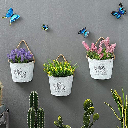 Wankd 1 Stück Pflanztöpfe Metall Halbe Rund Wand Hängende Blumentopf Sukkulente Pflanzer mit Seil Wand Garten Home Deko von Wankd