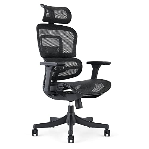 Waytex 78075 Bürostuhl, Schwarz, Standard von Waytex