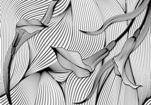Fototapete 3D Effekt Vliestapete Tapeten Schwarze Geometrische Linie Kunstblumen Fototapete Wandtapete Wallpaper Wandbilder 350x245cm von Wesmilewallpaper