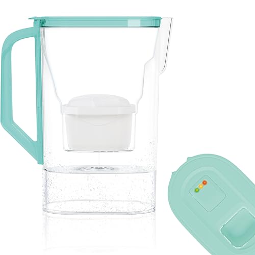 Wessper Karaffe für Kühlschranktür 2,7L, kompatibel mit Brita Maxtra, Wasserkanne mit Filterverschleißanzeige- Set enthält einen Wasserfilter karaffe und eine Wasserfilter- Minze von Wessper