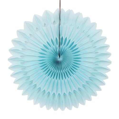 10 Stück Papier Fächer Dekoration,PomPoms Tissue Blumen,Papierblumen Zum Aufhängen,Party Geburtstag Hochzeit Babyparty Abschlussball Graduierung Classroom Garland Dekoration,Hellblau,25cm von Whakano