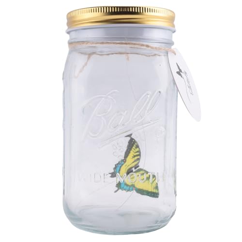 Wispbreeze Schmetterlingssammlung im Glas, Schmetterlingsglas, das Sich Bewegt, LED-Licht, Romantisches Glas, Animierter Schmetterling, Gelb von Wispbreeze