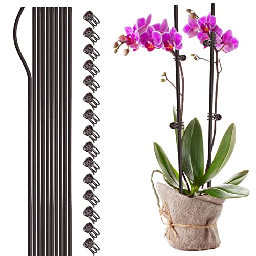 Wnvivi 20 Pflanzenstützstäbe mit 30 Clips, Einzelstiel-Orchideenstäbe, Biegsame Pflanzenstäbe, Unterstützung für Pflanzen Im Innen- und Außenbereich(braun, 60 cm) von Wnvivi