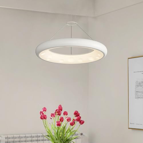 Wylolik Weißer cremefarbener Kronleuchter Kreis dimmbare Pendelleuchte durchscheinende Acryl-Hängelampe verstellbare Pendelleuchte Moderne minimalistische Beleuchtung für Kinderzimmer Museen Wylolik Weißer cremefarbener Kronleuchter Kreis dimmbare Pendelleuchte durchscheinende Acryl-Hängelampe verstellbare Pendelleuchte Moderne minimalistische Beleuchtung für Kinderzimmer Museen von Wylolik