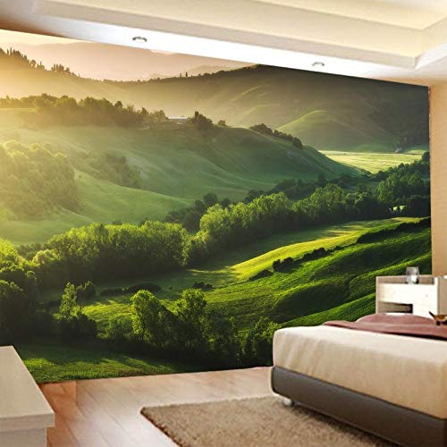 XAONUO 3D Tapisserie Wandbehang 280X180Cm Grün Bäume Wiese Landschaft Wandteppich Tapisserie 3D Vision Tapisserie Für Schlafzimmer Wohnzimmer Studentenwohnheim Wandkunst Wanddekoration von XAONUO