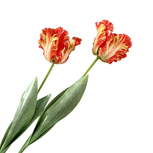 Künstliche Tulpenblumen, 68,1 cm, künstliche Blumen, Papageien-Tulpen, langer Stiel, künstliche Pflanzen, Zweig, grüne Vasenfüller für Heimbüro, Dekoration (2 Stück, Orange) von XZJMY