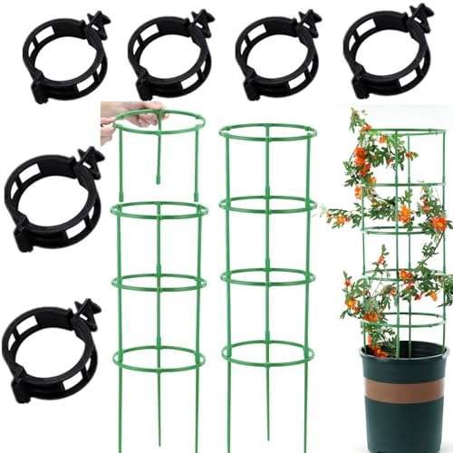 Tomaten Rankhilfe | Tomatenturm | Pflanzenclips Pflanzenklammern | Pflanzenstütze | 100 Stück (50 Ringe + 50 Stäbe) Rankhilfe | Garten Rankhilfe Gurken Rankhilfe Tomatenkäfig (B-3) von Xevinas