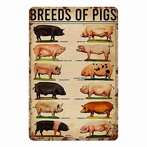 Xiddxu Metall-Poster-Schild Schweine-Rasse-Poster, lustiges Schweine-Poster, Metall-Poster-Plaketten für Zuhause, Wohnzimmer, Küche, Café, Bar, Wanddekoration, Blechschild, Metallschilder, von Xiddxu