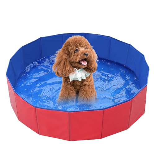 YANGUN Hundepool, 60 * 20cm Faltbar Hundepool mit rutschfestem Boden & Ablassventil, PVC rutschfest Planschbecken, Faltbarer Hundepool, Schwimmbecken für Hunde,Geeignet für kleine Hunde (60 * 20cm) YANGUN Hundepool, 60 * 20cm Faltbar Hundepool mit rutschfestem Boden & Ablassventil, PVC rutschfest Planschbecken, Faltbarer Hundepool, Schwimmbecken für Hunde,Geeignet für kleine Hunde (60 * 20cm) von YANGUN