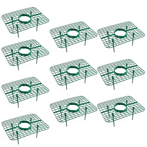 YIAGXIVG 10 Stück Erdbeer Pflanzen Unterstützung Erdbeer Anbau Rack Erdbeer Anbau Rahmen Für Die Aufbewahrung Von Garten Erdbeeren Erdbeer Unterstützung Erdbeer System von YIAGXIVG