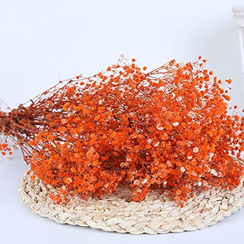 YIWOYI Natürliche Gypsophila getrocknete Blumen, natürlich frische Schleierkraut-Paniculata, Blumensträuße, Geschenk für Hochzeitsdekoration, Heimdekoration (Orange, 40–55 cm, 80 g) von YIWOYI