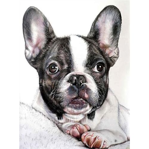 YIYUE 5D Diamond Painting Kits Bilder für Erwachsene, Hund DIY Diamant Malerei Painting Bilder Set, Diamond Art Full Runder Malen Nach Zahlen Erwachsene Set (35x45cm), Nr. 9 von YIYUE