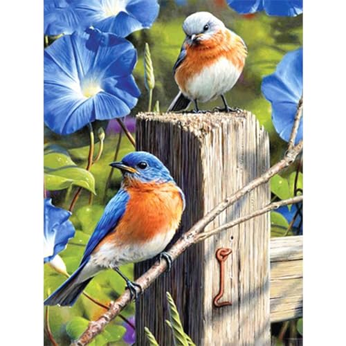 YIYUE 5D Diamond Painting Kits Bilder für Erwachsene, Vogel DIY Diamant Malerei Painting Bilder Set, Diamond Art Full Runder Malen Nach Zahlen Erwachsene Set (35x45cm), Nr. 6 von YIYUE