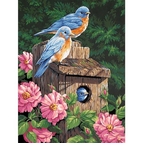 YIYUE 5D Diamond Painting Kits Bilder für Erwachsene, Vogel DIY Diamant Malerei Painting Bilder Set, Diamond Art Full Runder Malen Nach Zahlen Erwachsene Set (35x45cm), Nr. 9 von YIYUE