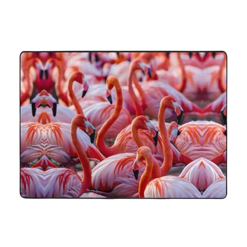 YJxoZH Teppiche mit Flamingo-Druck, für Wohnzimmer, Küche, rutschfester Bodenteppich, weiche Schlafzimmerteppiche, 148 x 203 cm von YJxoZH
