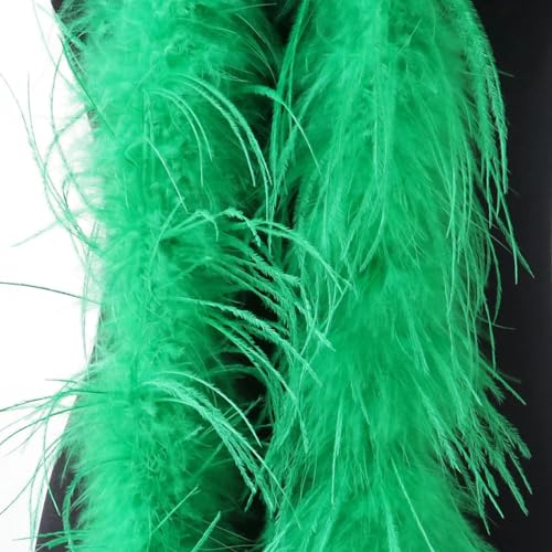 Natürliche Straußenfederboa, 10-fädig, Band, 1 m oder 2 m, Dekoration für Kostüm, Kleidung, Nähzubehör, mehrfarbig, glasgrün, 2 m, 10-fädig von YOGAES